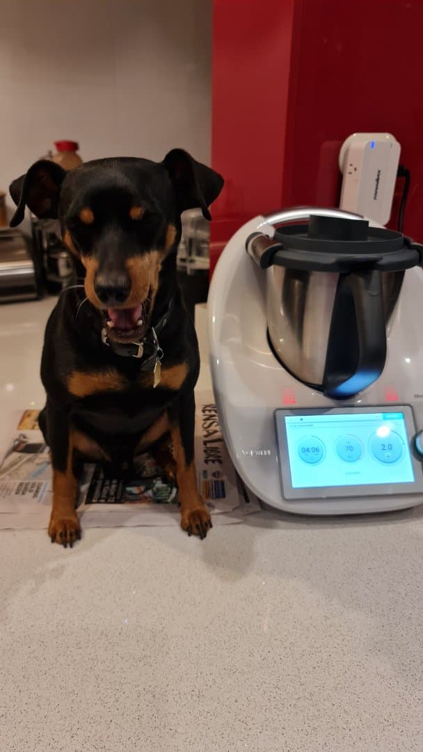 Thor-thermomix